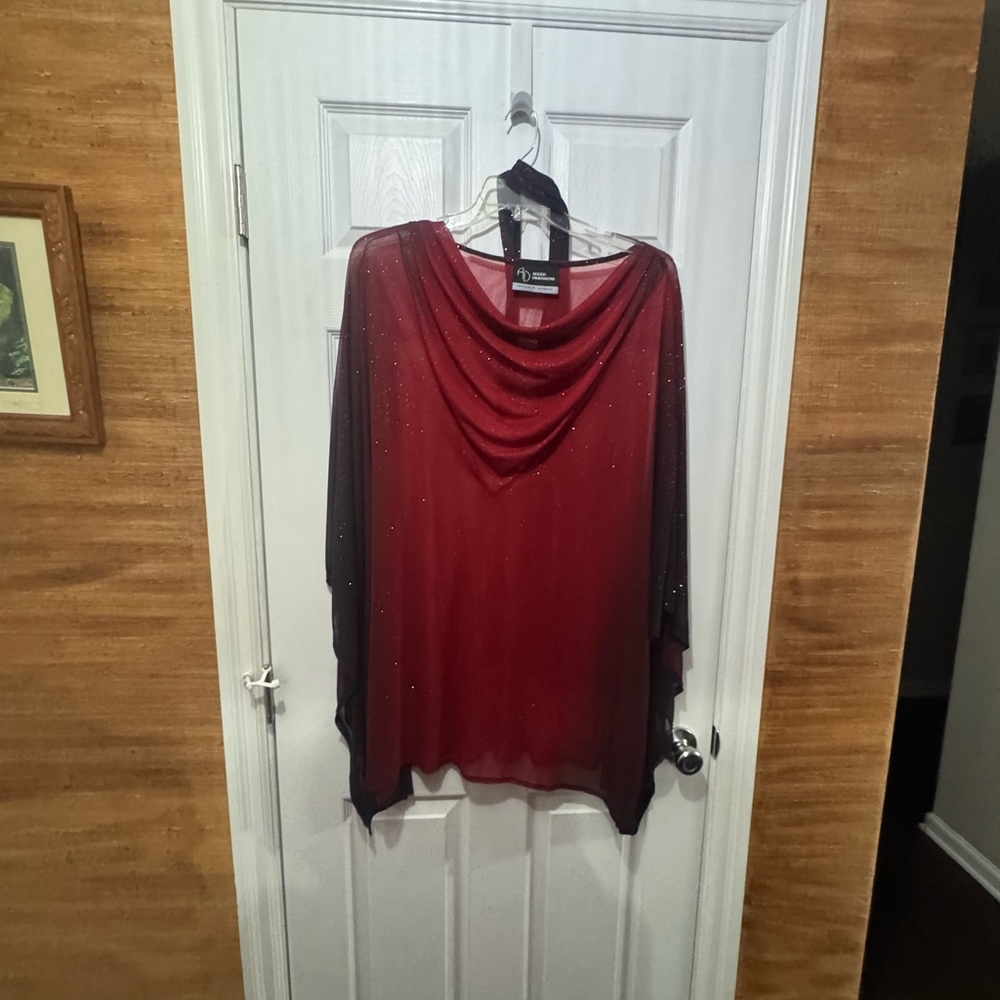 Catherines Sheer dressy tunic perfect for layering with a cami or blouse